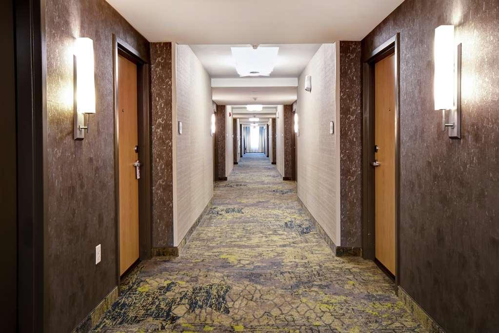 Hilton Garden Inn Jackson Amenities photo